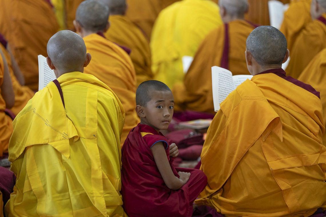 2025 06 01 Dharamsala G12 Sa19519