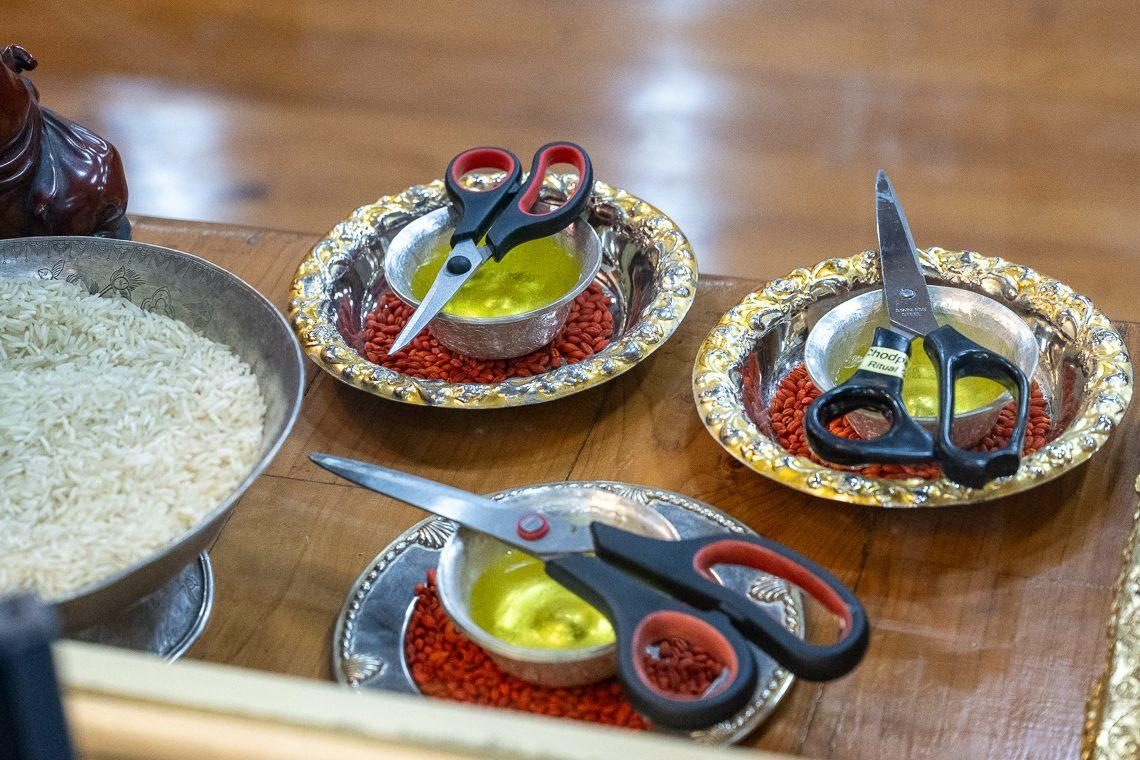 2026 02 27 Dharamsala G06 NZ9 2638